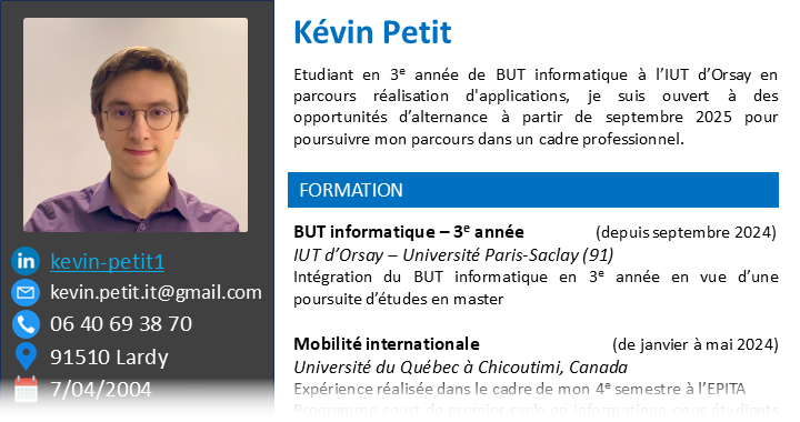 CV Français